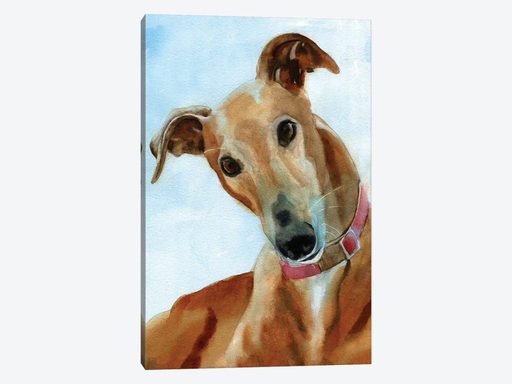 Greyhound Portrait by Rachel Parker 1-piece Canvas Artwork