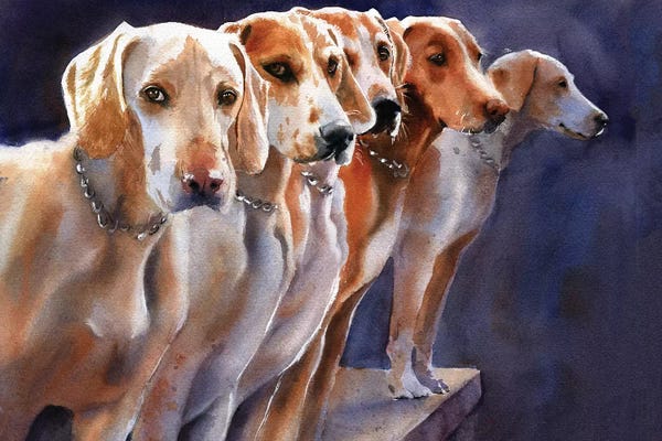 Hounds: Penn Marydel Hounds by Rachel Parker