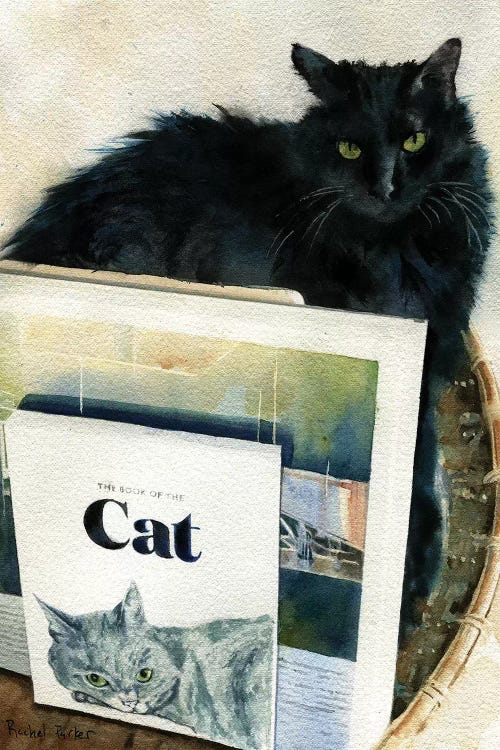 Black Cat Book Basket