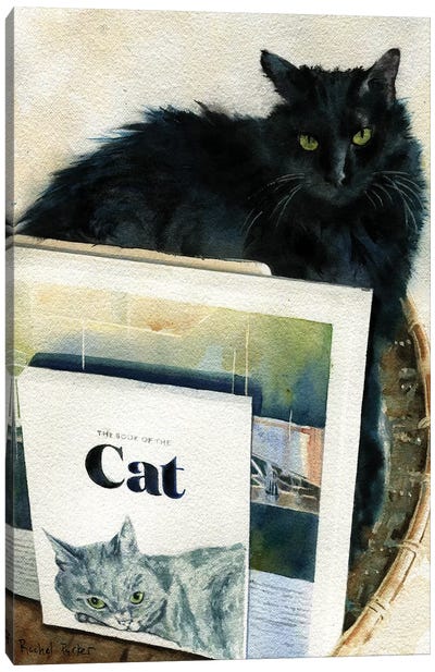 Black Cat Book Basket Canvas Art Print - Rachel Parker