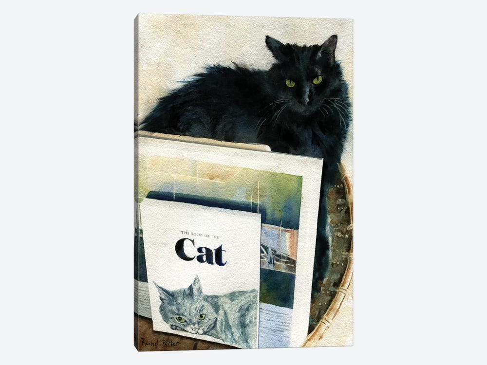 Black Cat Book Basket by Rachel Parker 1-piece Canvas Print