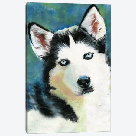 Siberian Husky Canvas Print #RPK50} by Rachel Parker Canvas Wall Art