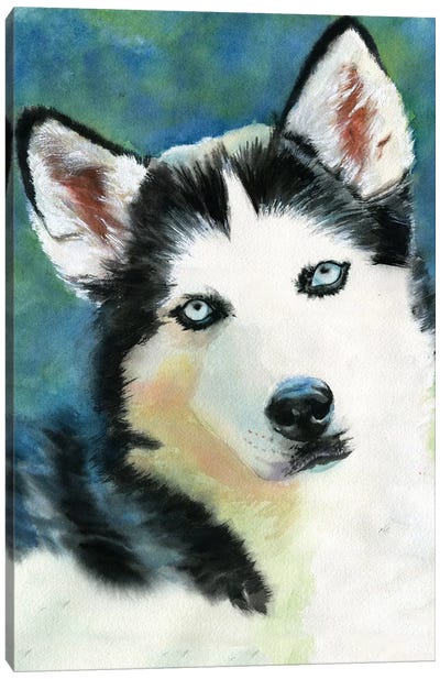 Siberian Husky Canvas Art Print - Rachel Parker