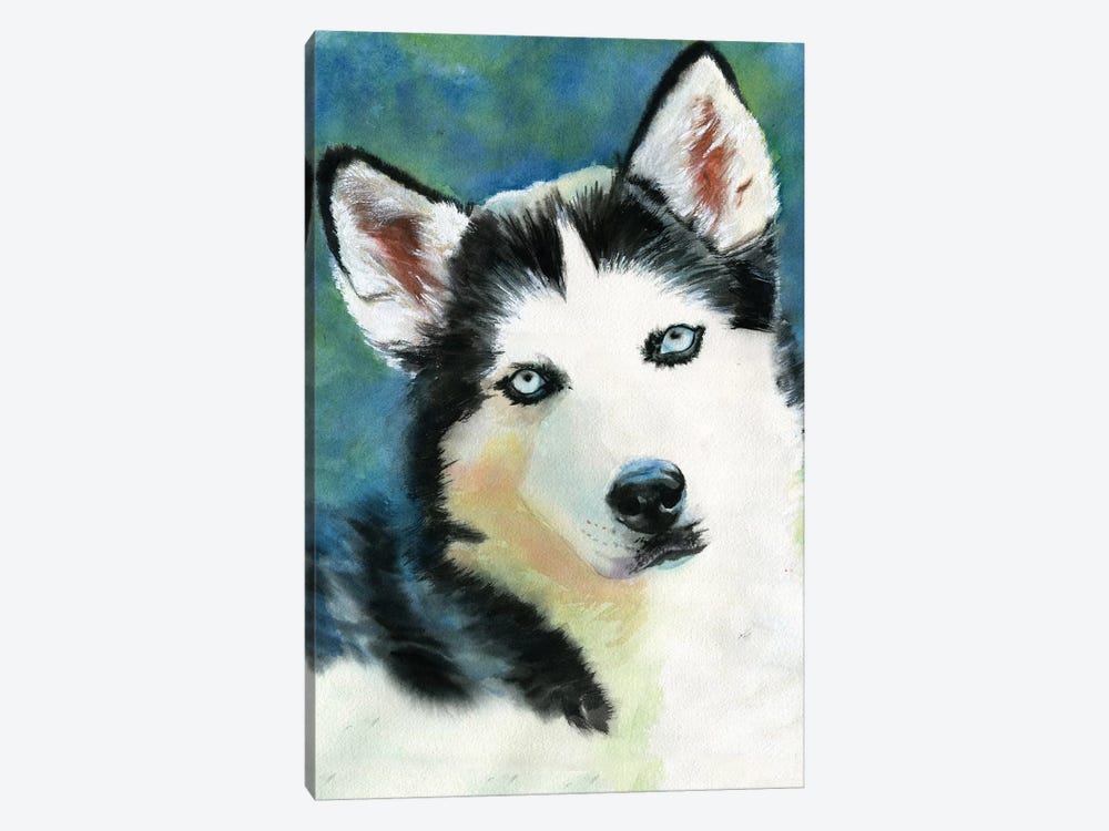 Siberian Husky by Rachel Parker 1-piece Canvas Print