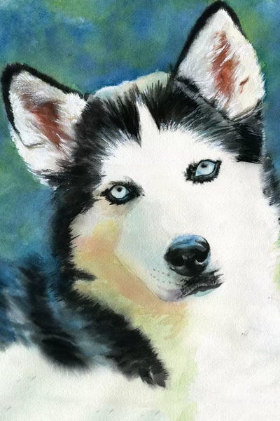 Siberian Huskies: Siberian Husky by Rachel Parker