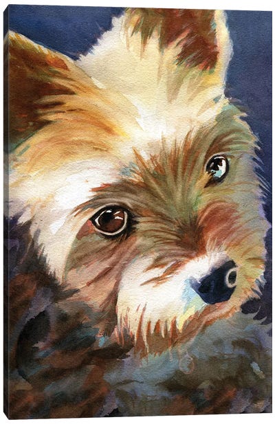 Yorky Canvas Art Print - Yorkshire Terrier Art
