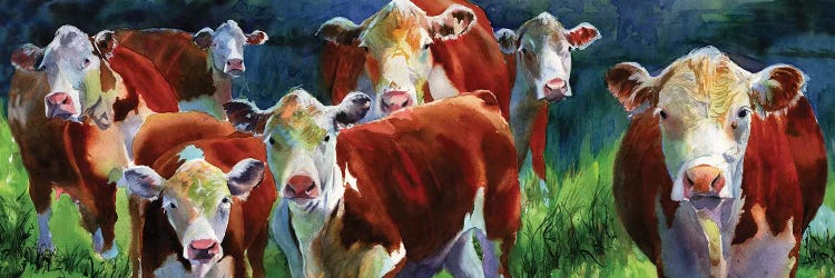 Curious Cows by Rachel Parker wall art