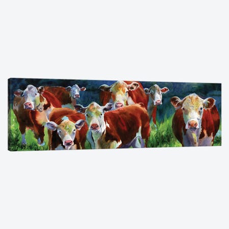 Curious Cows Canvas Print #RPK53} by Rachel Parker Canvas Wall Art