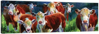 Curious Cows Canvas Art Print - Rachel Parker