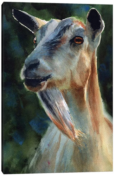 Goat Thoughts Canvas Art Print - Goat Art