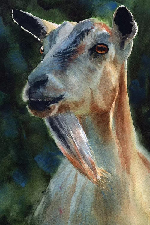 Goat Thoughts by Rachel Parker wall art