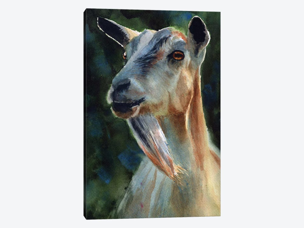 Goat Thoughts by Rachel Parker 1-piece Canvas Art Print