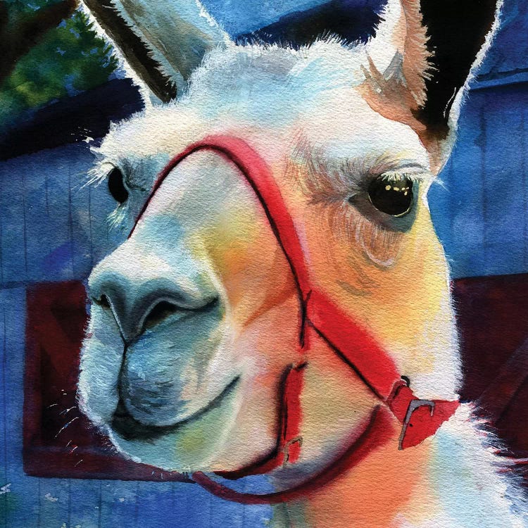 Llama Love by Rachel Parker wall art