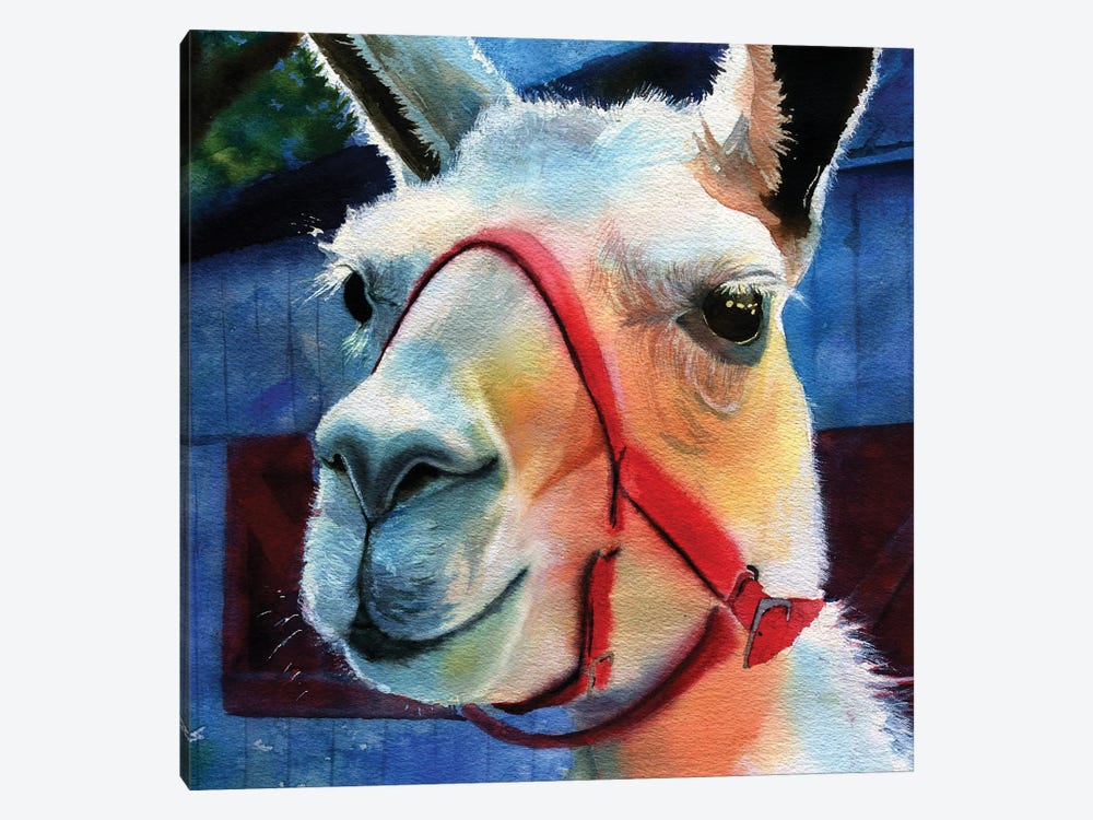 Llama Love by Rachel Parker 1-piece Canvas Art