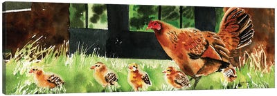 Mama Chicken Canvas Art Print - Rachel Parker