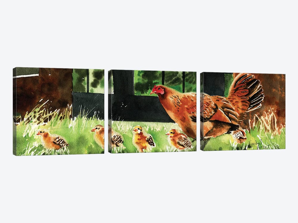 Mama Chicken by Rachel Parker 3-piece Canvas Print