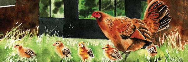 Chickens & Roosters: Mama Chicken by Rachel Parker