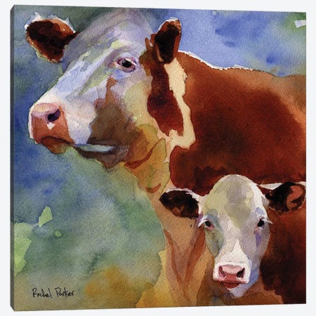 Mama Cow Canvas Print #RPK57} by Rachel Parker Art Print