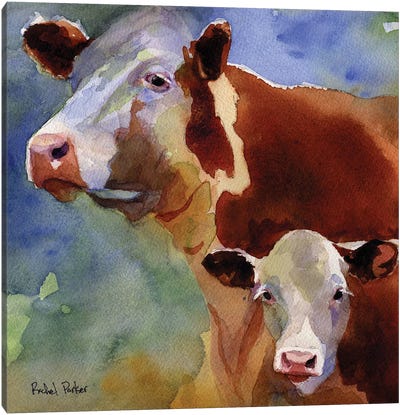 Mama Cow Canvas Art Print - Rachel Parker