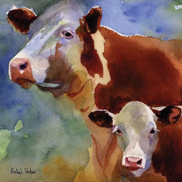 Baby Animals: Mama Cow by Rachel Parker