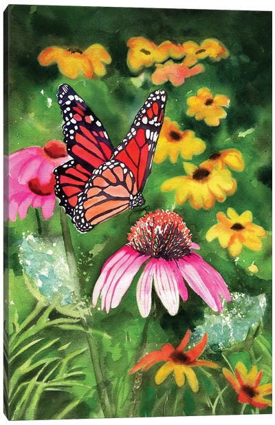 Cone Flowers Canvas Art Print - Monarch Butterflies