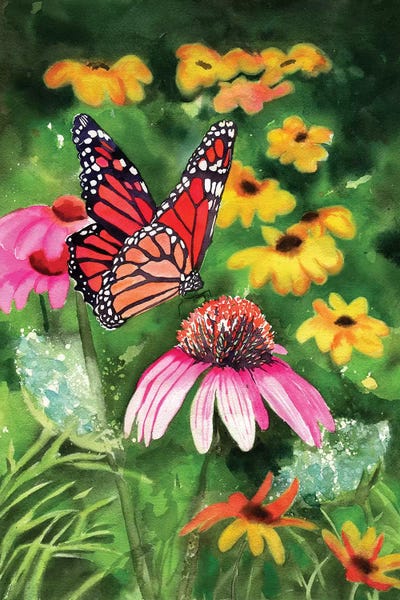 Monarch Butterflies: Cone Flowers by Rachel Parker