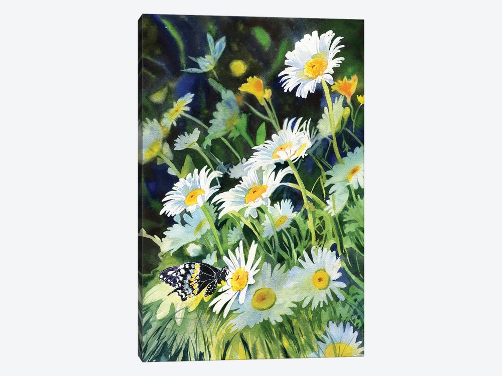 Daisy And Butterfly by Rachel Parker 1-piece Canvas Artwork