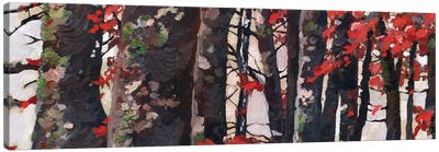 Red Leaves Canvas Art Print - Rachel Parker
