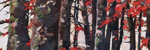 Rachel Parker: Red Leaves by Rachel Parker