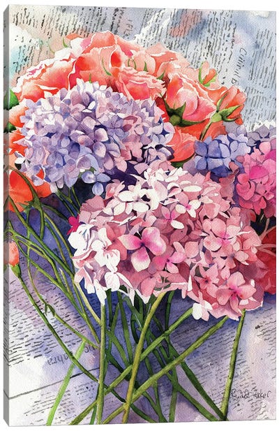 Sunday Hydrangeas Canvas Art Print - Rachel Parker