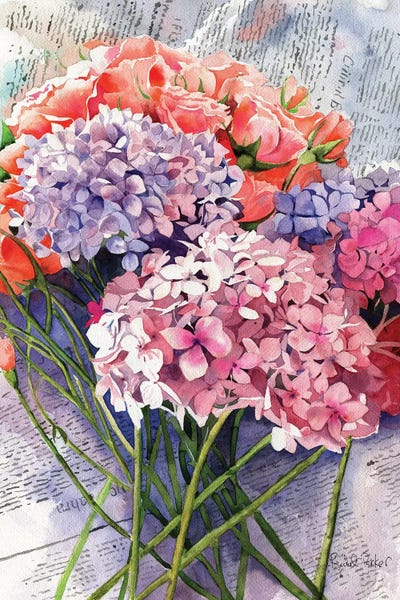 Hydrangeas: Sunday Hydrangeas by Rachel Parker
