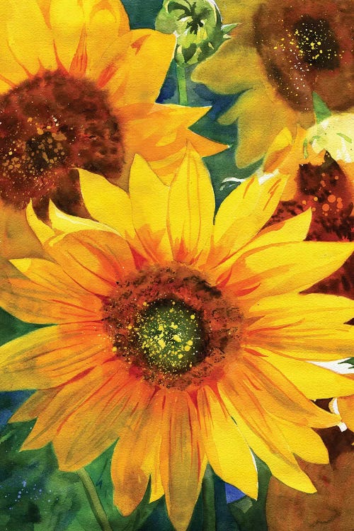 Sunflowers by Rachel Parker wall art