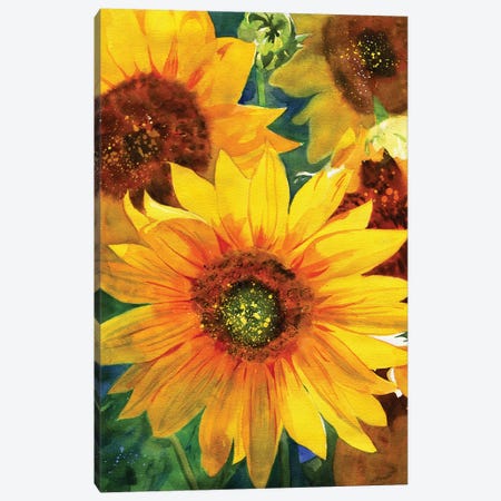 Sunflowers Canvas Print #RPK64} by Rachel Parker Canvas Wall Art