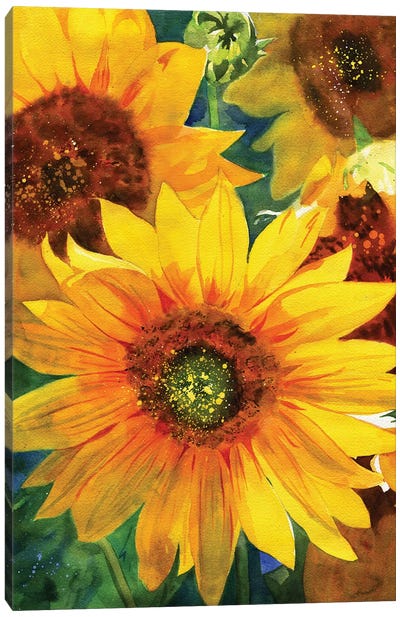 Sunflowers Canvas Art Print - Rachel Parker