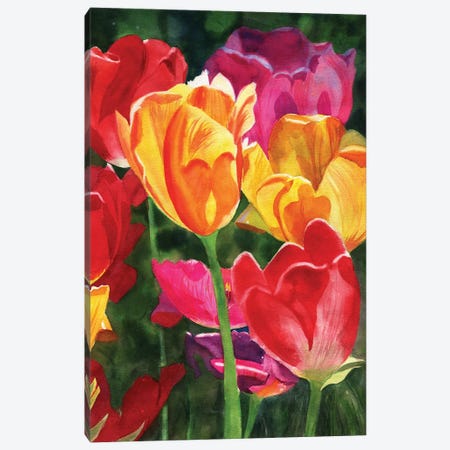 Tulips Canvas Print #RPK65} by Rachel Parker Canvas Artwork