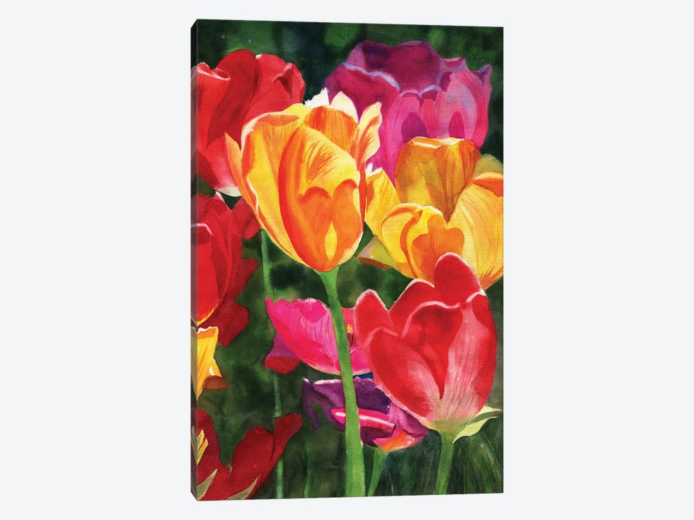 Tulips by Rachel Parker 1-piece Canvas Art Print