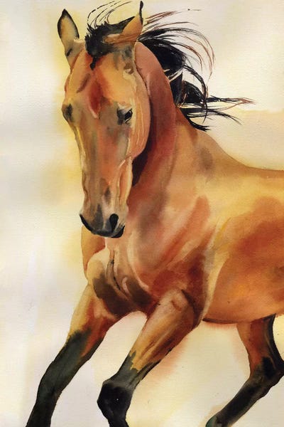 Akhal-Teke
