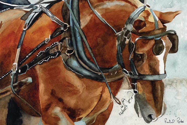 Belgian In Charleston by Rachel Parker wall art