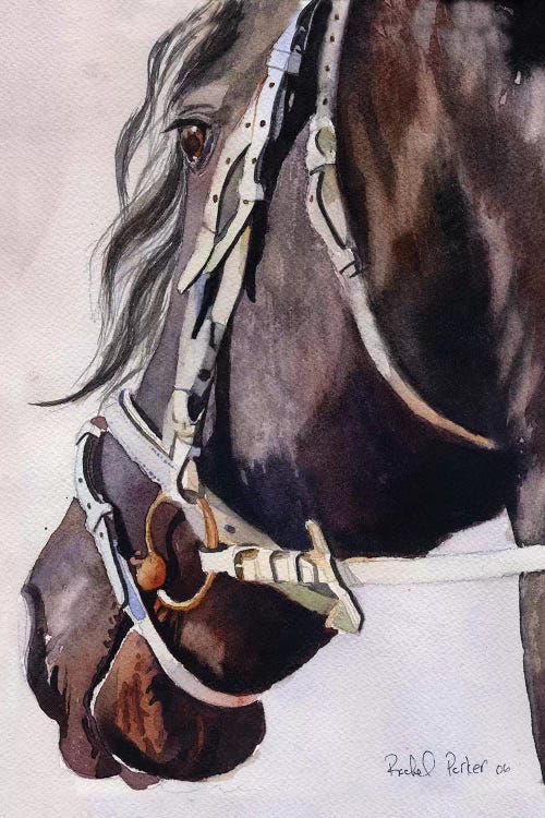 Friesian Bridles by Rachel Parker wall art