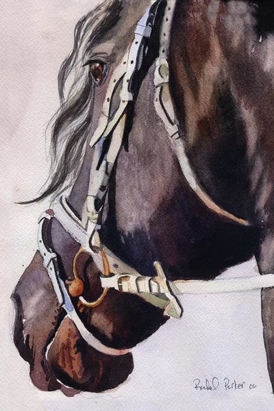 Rachel Parker: Friesian Bridles by Rachel Parker