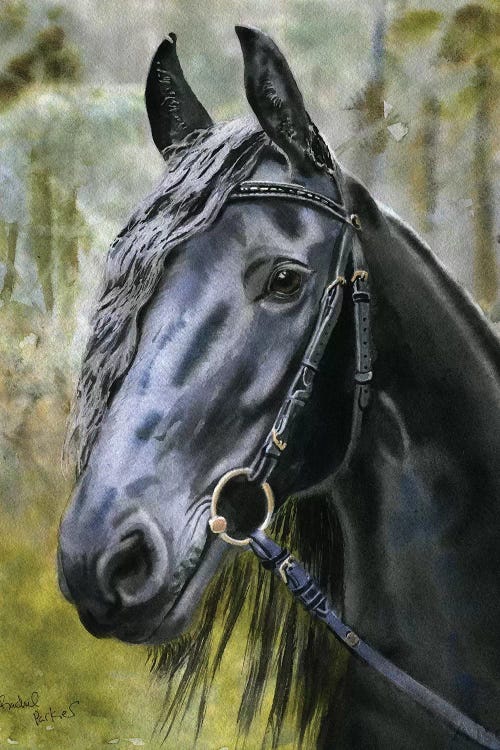 Friesian Forest by Rachel Parker wall art