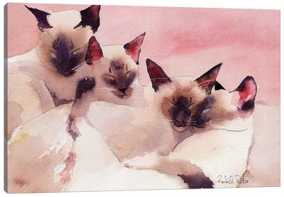 Family Of Four Canvas Art Print - Siamese Cat Art