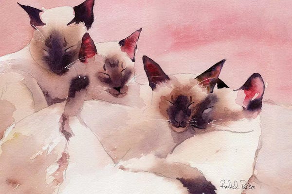 Siamese: Family Of Four by Rachel Parker