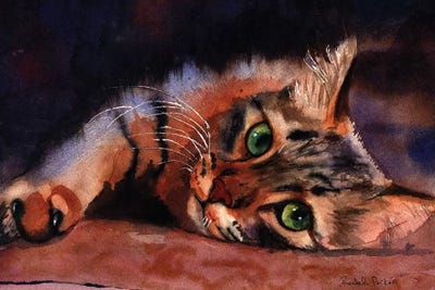 Floored by Rachel Parker canvas print