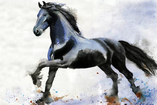 Friesian Forward