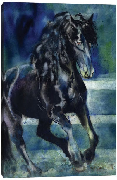 Friesian Gallop Canvas Art Print - Rachel Parker