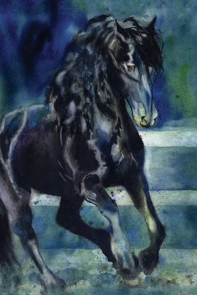 Horses: Friesian Gallop by Rachel Parker