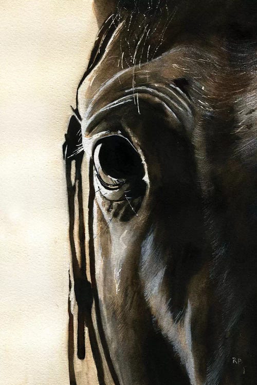 Horse Thoughts