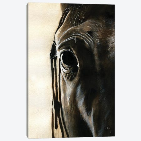 Horse Thoughts Canvas Print #RPK73} by Rachel Parker Canvas Artwork