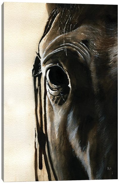 Horse Thoughts Canvas Art Print - Rachel Parker